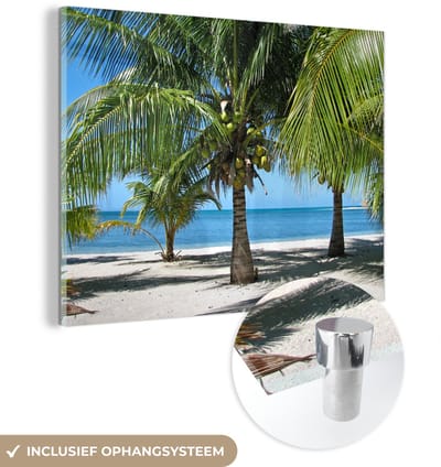 ® Glasschilderij 160x120 cm - Schilderij acrylglas - Palmbomen en het parelwitte strand in Glover’s Reef - Foto op glas - Muurdecoratie woonkamer - Wanddecoratie slaapkamer - Schilderijen