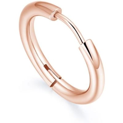 Kleine Roestvrijstalen Hoepeloorbellen voor Dames Heren Goud Zwart Cirkel Oorring Oorbellen Helix Hoepel Piercing 10mm