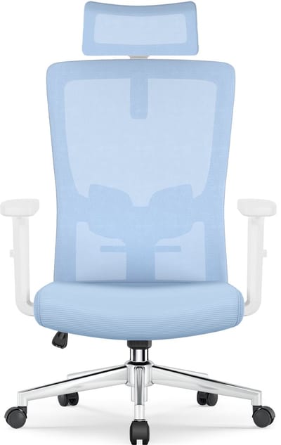 Ergonomische Bureaustoel - Bureaustoel - Bureaustoelen voor Volwassenen - met Verstelbare Hoofdsteun, Armleuningen en Lendensteun - 150 Kg - Blauw