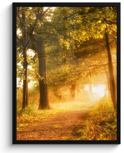 Poster in lijst - Fotolijst 50x70 cm - Posters - Bos - Bomen - Zonlicht - Herfst - Bospad - Natuur - Posterlijst zwart - Decoratie - Wanddecoratie woonkamer - Muurdecoratie slaapkamer