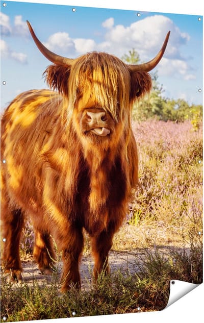 Gards Tuinposter Schotse Hooglander Koe in de Wei - 120x160 cm - Tuindoek - Tuindecoratie - Wanddecoratie buiten - Tuinschilderij