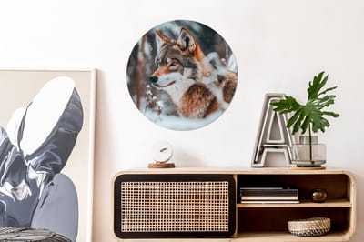 WallCircle - Wandcirkel - Muurcirkel - Wolf - Sneeuw - Winter - Dieren - Natuur - Sneeuw - Aluminium - Dibond - 60x60 cm - Binnen en Buiten