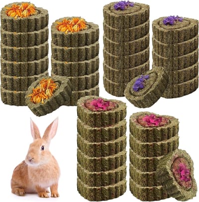 Knaagdier Kauwspeelgoed - Tandverzorging Snacks - Gezonde Tanden - Natuurlijk Timothy Gras - 36 Stuks - Groen