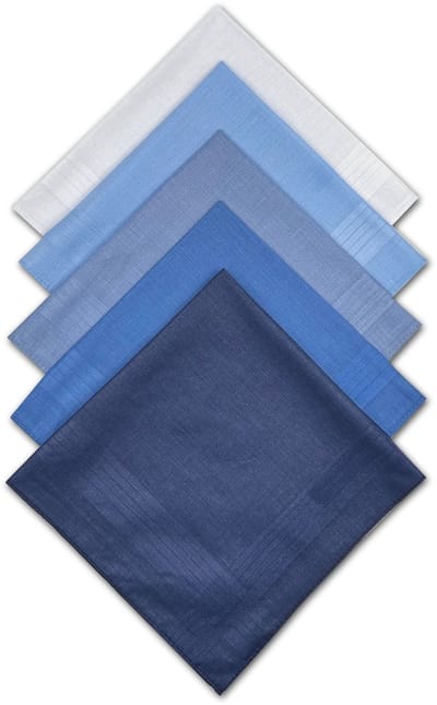 Zakdoeken Heren - Zakdoek Set - Dagelijks Gebruik - Ademend Katoen - 5 Stuks 40x40cm - Blauw Wit