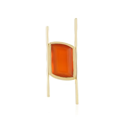 Cavill - 925 Sterling Zilver Verguld Hanger - Rode Onyx Edelsteen 6,162 ct Fancy Geslepen - Elegant Modern Design - Monosono Collection
