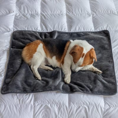 Dailygoods- Fleece Deken Waterdicht - Huisdierdeken - Omkeerbaar - Zachte Pluche - Bescherming tegen Vlekken - Sterke Duurzaamheid
