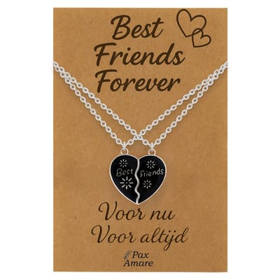 BFF Ketting voor 2 'Best Friends Forever' - Magnetisch Hartje - VERANDERT VAN KLEUR! - Vriendschapsketting op Cadeau Kaartje - 45cm + 5cm verstelbaar - Zilverkleurig - Best Friends Hanger - Pax Amare