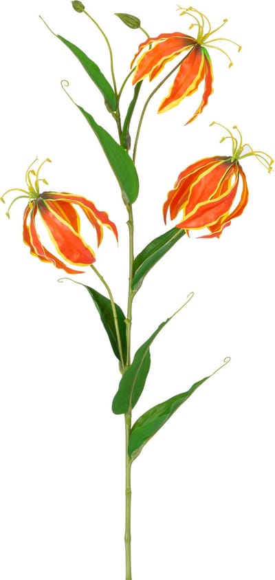 Easyplants | Kunstbloem Gloriosa Real Touch Oranje 75 cm | Zijde | Nepbloemen | oranje | Onderhoudsvrij | Kant-en-klaar