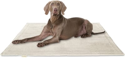 Knuffelwuff Cord Hondenkleed Timor 80x60cm Beige