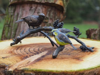 Vogels op tak