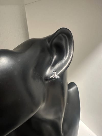 Staart oorbellen | | Make up | Parfum | Moederdag | Verjaardagscadeau| Cadeautje| Valentijnsdag| Kado | sieraden | vaderdag | oorbellen | oorsieraden
