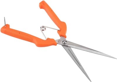 Dailygoods- Snoeischaar Ergonomisch - Roestvrij Staal - Antislip Handgreep - Voor Bloemen/Kruiden - Hoogwaardige Snede - Lichtgewicht Ontwerp - Tuinschaar