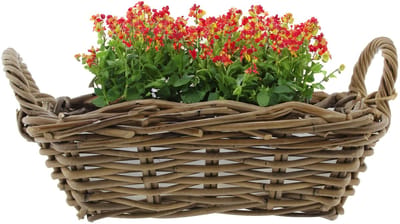 Van der Leeden Planten/bloemen mand met hengsels - bruin - 37 x 22 x 12 cm - rotan gevlochten - plantenpot - bloemenmand - plantenmand