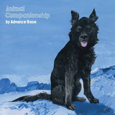 Advance Base - Animal Companionship (2 LP) (Coloured Vinyl) (Limited Edition)
