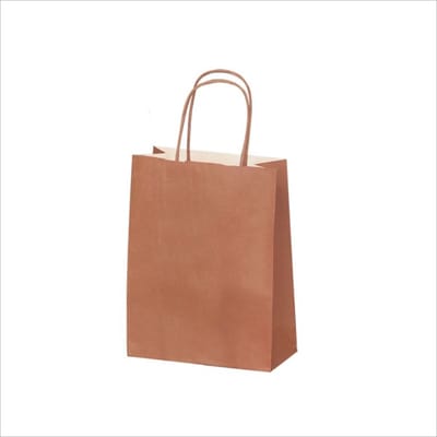 Luxe Set van 50 Papieren Draagtassen - Terra - 18x8x22cm - Hoogwaardige Kraft Papieren Tassen - Met Gedraaide Handvatten - Ideaal voor Winkelen en Verpakken.