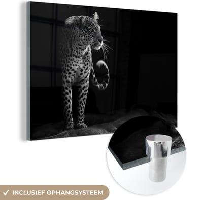 Glasschilderij luipaard - Dieren - Zwart - Wit - Portret - Schilderij glas - Foto op glas - Woonkamer - 60x40 cm - Muurdecoratie glas - Decoratie slaapkamer