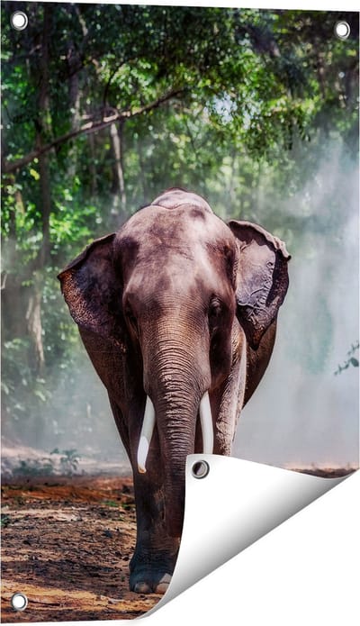 Gards Tuinposter Olifant in het Bos - 40x60 cm - Tuindoek - Tuindecoratie - Wanddecoratie buiten - Tuinschilderij
