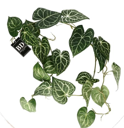 Bellatio Design kunstplant/hangplant slinger - Anthurium - groen - 109 cm lang - planten guirlandes