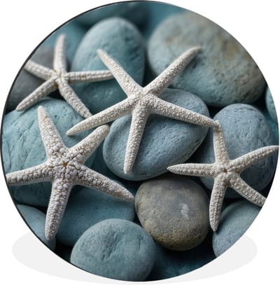WallCircle - Wandcirkel - Muurcirkel - Zeesterren - Stenen - Wit - Aluminium - Dibond - 30x30 cm - Binnen en Buiten