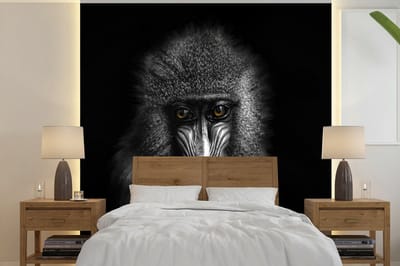 Behang - Fotobehang Aap - Dieren - Ogen - Bruin - Zwart wit - Breedte 300 cm x hoogte 300 cm