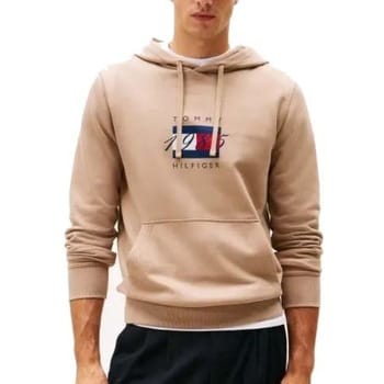 Capuchon sweaters Tommy Hilfiger Linear Flag Graphic Hood