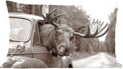 Sierkussens - Kussentjes Woonkamer - 60x40 cm - Eland - Auto - Gewei - Zwart - Wit