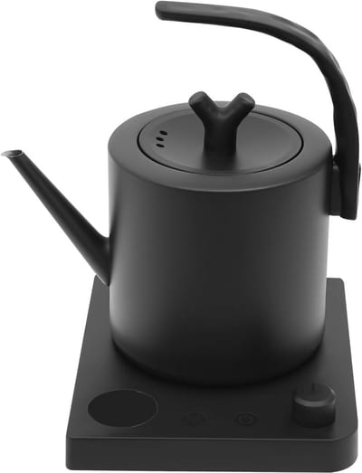 Waterkoker Zwanenhals - Theeketel Elektrisch - Thee Zetten - Temperatuurregeling - 1 Liter - Zwart