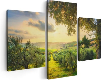 Artaza Canvas Schilderij Drieluik Olijvenbomen - Olijvengaard - 90x60 - Foto Op Canvas - Canvas Print