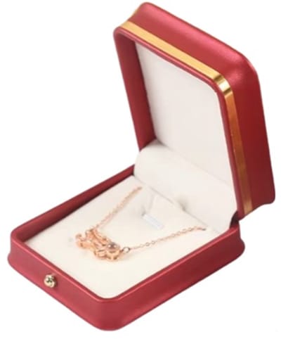 Sieradendoosje ketting pu leer - verjaardag - cadeau - jubileum - Valentijnsdag - romantisch - sieradenverpakking - opbergdoosje - kettinghouder
