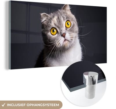 MuchoWow® Glasschilderij 40x20 cm - Schilderij acrylglas - Kat - Ogen - Licht - Foto op glas - Schilderijen