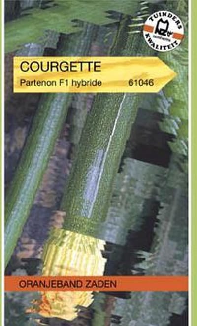 Oranjebandzaden - Courgette Dunja F1 (vh. Partenon F1)