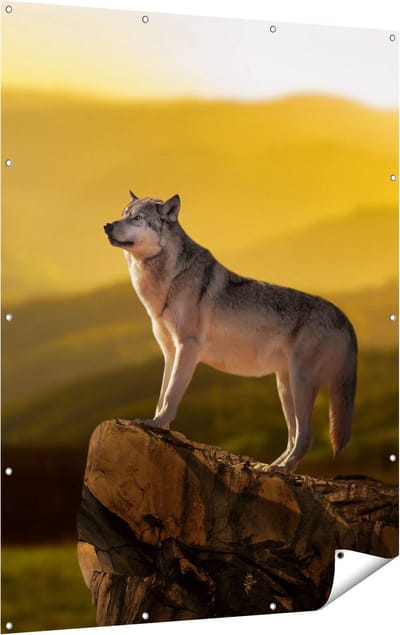 Gards Tuinposter Wolf op een Rots met een Heuvel Landschap - 120x160 cm - Tuindoek - Tuindecoratie - Wanddecoratie buiten - Tuinschilderij