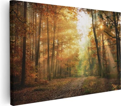 Artaza Canvas Schilderij Herfstbos - 30x20 cm - Klein - Wanddecoratie Bomen - Muurdecoratie Zonlicht - Kamer Accessoires Natuur