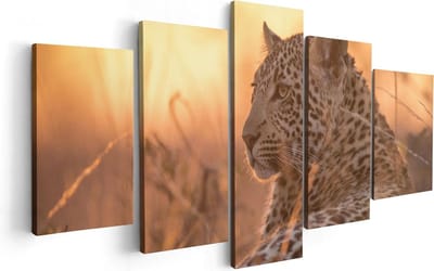 Artaza Canvas Schilderij Vijfluik Luipaard Rust In De Zon - 100x50 - Foto Op Canvas - Canvas Print