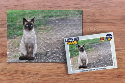 Puzzel Siamese kat zit op een pad - Legpuzzel - Puzzel 1000 stukjes volwassenen