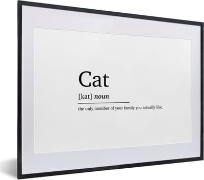 Fotolijst incl. Poster - Cat - Spreuken - Quotes - Kat definitie - Woordenboek - 40x30 cm - Posterlijst