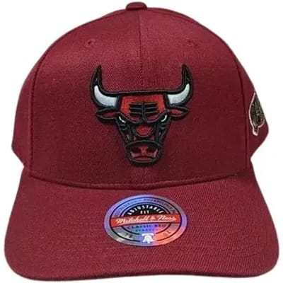 Chicago Bulls pet Seasonal
