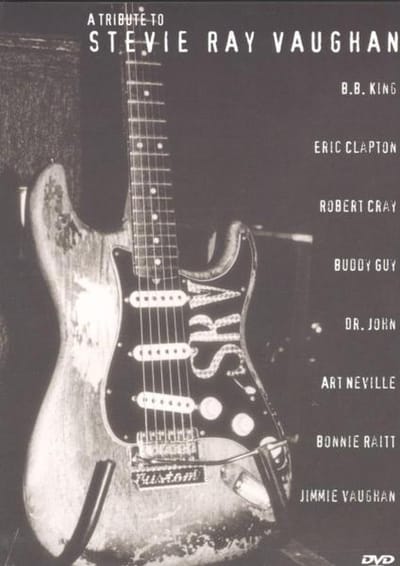Stevie Ray Vaughan - Tribute to