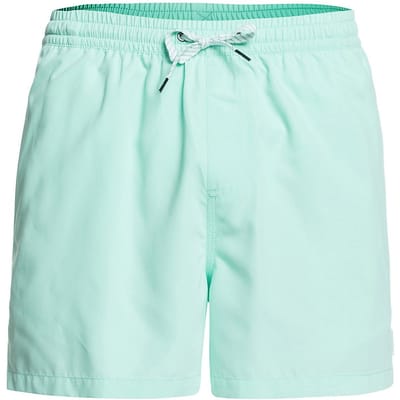 Quiksilver Everyday Volley 15 Boardshorts patroon