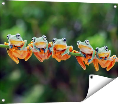 Gards Tuinposter Groep Kikkers op een Tak - 80x60 cm - Tuindoek - Tuindecoratie - Wanddecoratie buiten - Tuinschilderij