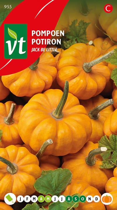 Pompoen 'Jack Be Little' Zaden - Kleine en Charmante Herfstdecoratie