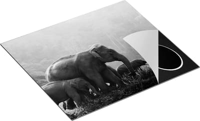 Chefcare Inductie Beschermer Olifanten Familie in de Jungle - Olifant - Zwart Wit - 60x50 cm - Afdekplaat Inductie - Kookplaat Beschermer - Inductie Mat