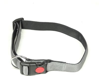 De-Tail Halsband Nylon met zachte voering en snelsluiting 25 mm x 50-65 cm Grijs