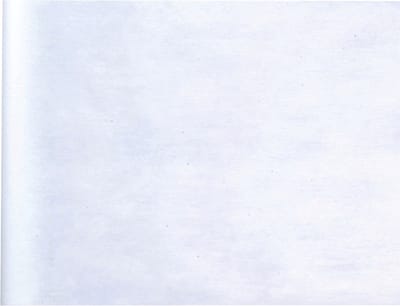 Santex Tafelloper op rol - 2x - wit - 30 cm x 10 m - non woven polyester
