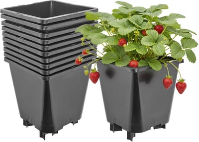 Garronda Set van 10 kunststof bloempotten met poten voor aardbeien en frambozen (Zwart, 19,5 x 19,5 x 21 cm – 5 L) GD-KW-F