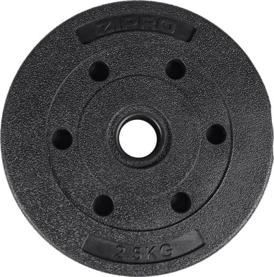 Halterschijven 2,5 KG Bitumen Kunststof Gecoat voor Halterstangen 31mm