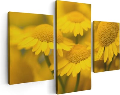 Artaza Canvas Schilderij Drieluik Gele Kamille Bloemen - 90x60 - Foto Op Canvas - Canvas Print