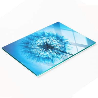 Keukenplank van gehard glas met decoratieve paardenbloemafbeeldingen, 80x52 cm
