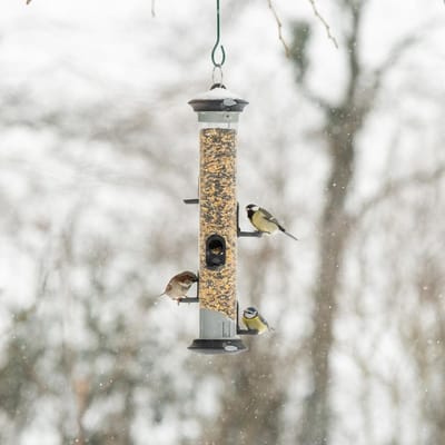CJ Wildlife Voedersilo voor Tuinvogels - Apollo - 5 Openingen - Vogelvoedersilo voor Kleine Vogels - Hangend Vogelvoederhuisje - Vogelvoer Silo - Grafietgrijs