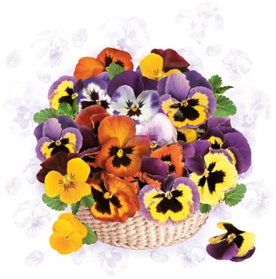 40 Servetten - Mandje met viooltjes - Colourful Pansies - Kleurrijk - Op een witte achtergrond - Paars - Geel - Oranje - 33 x 33 cm - 3-Laags - Daisy